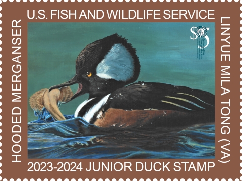 Buy a Junior Duck Stamp U.S. Fish Wildlife Service